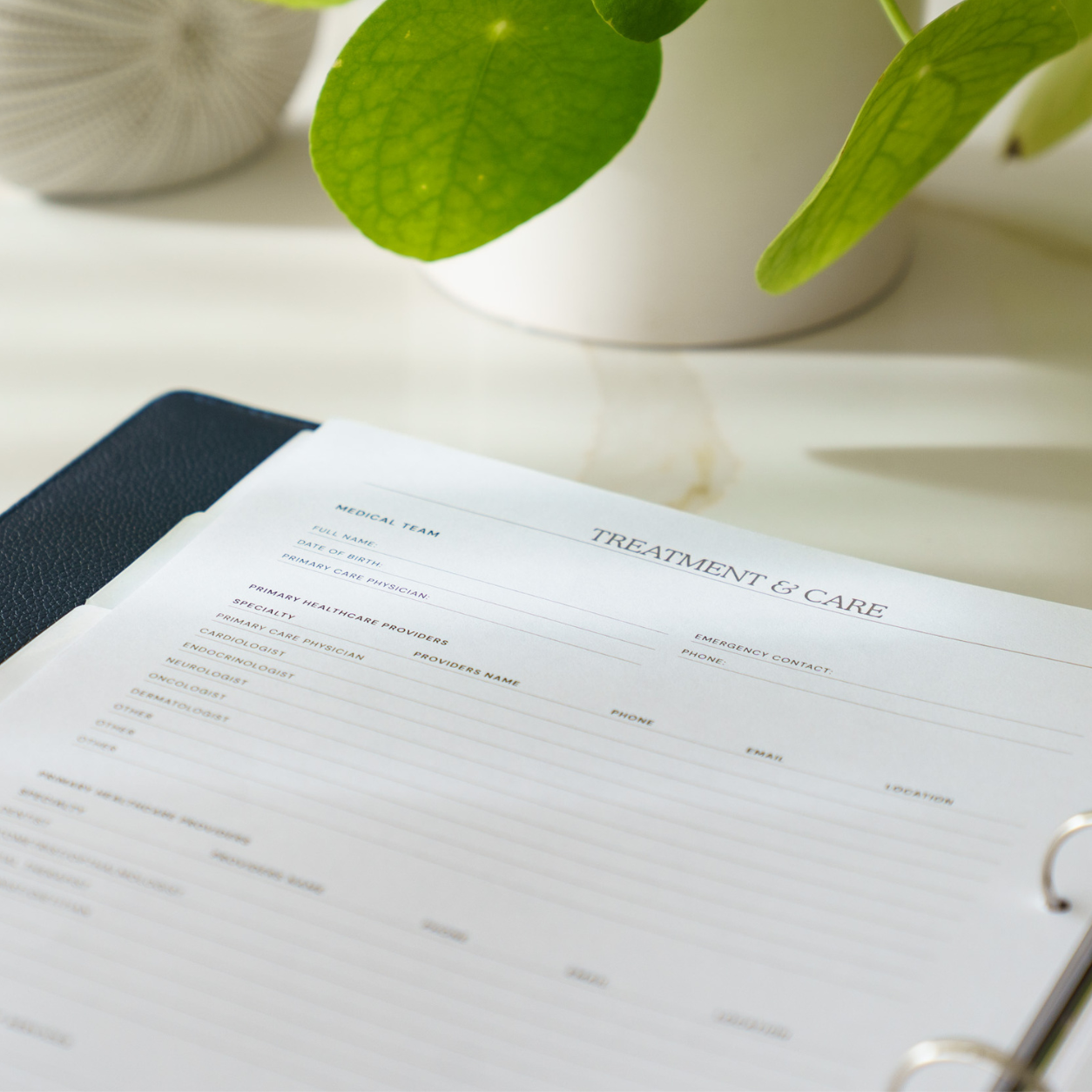 Open My Medical Folder showing the Treatment and Care page for recording healthcare providers, treatments and important care information